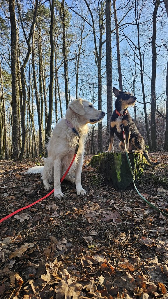 IMG 20250504 WA0008 577x1024