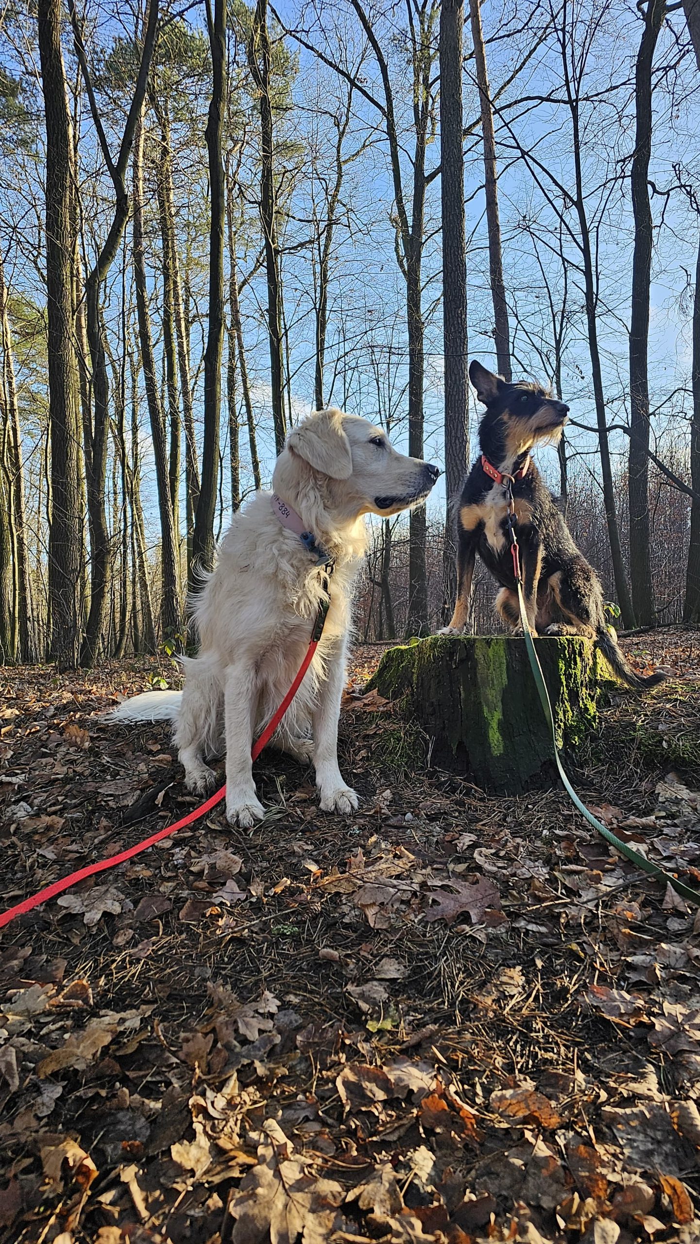 Offerings IMG 20250504 WA0008 Scaled