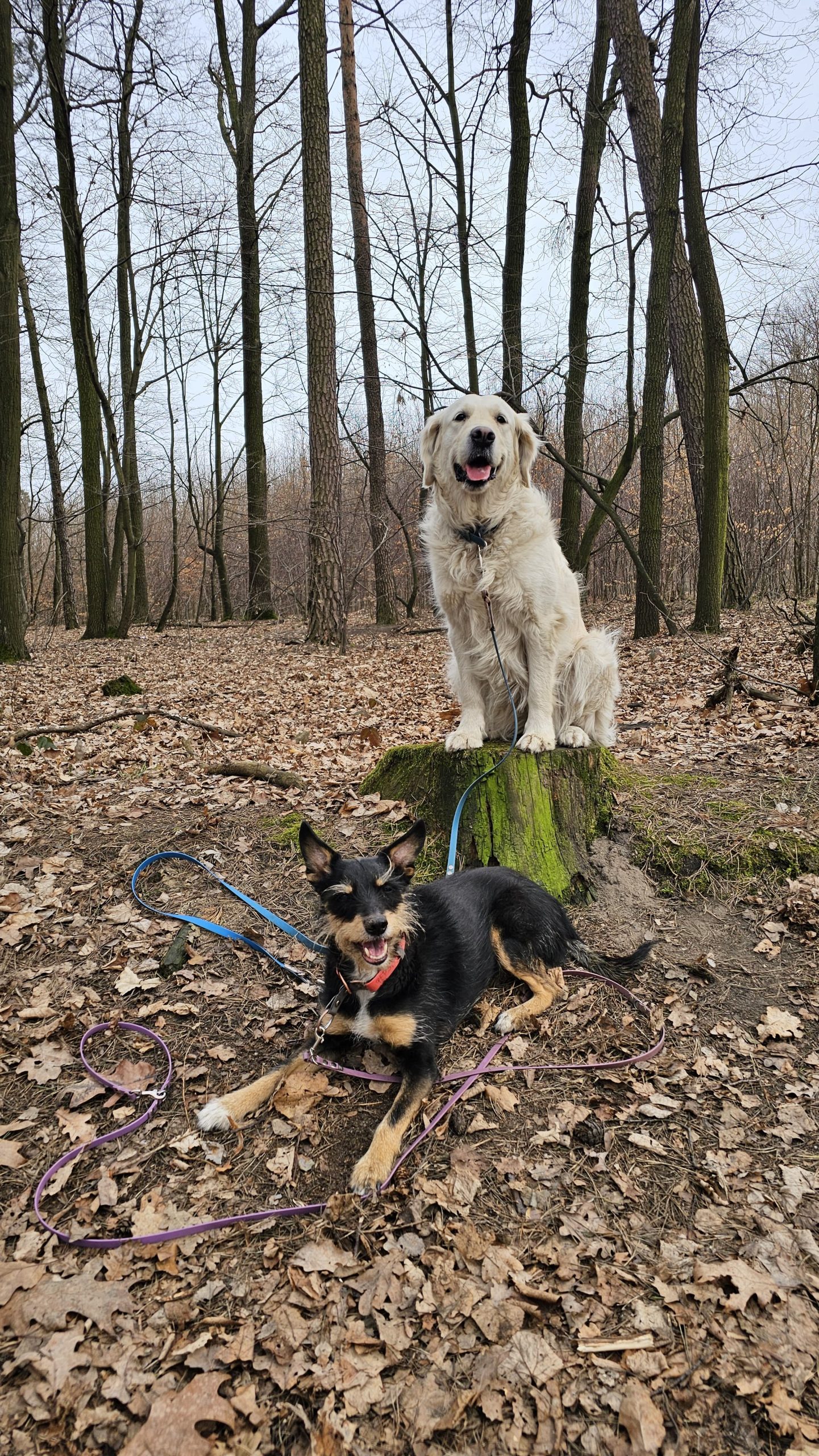 Home IMG 20250504 WA0015 Scaled