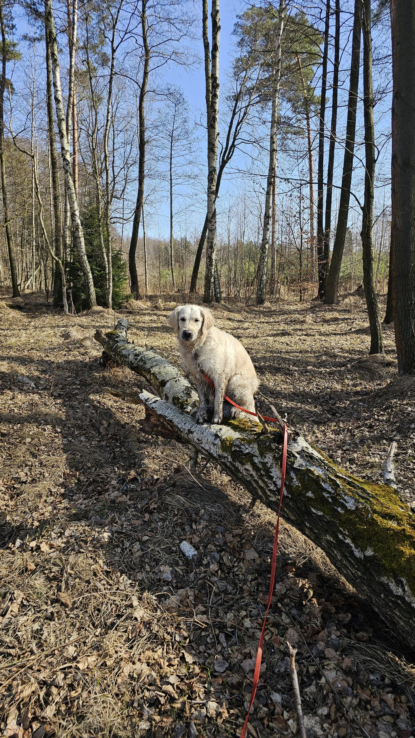 Home IMG 20250504 WA0018 Scaled