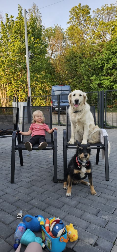 Offerings IMG 20250504 WA0019 478x1024