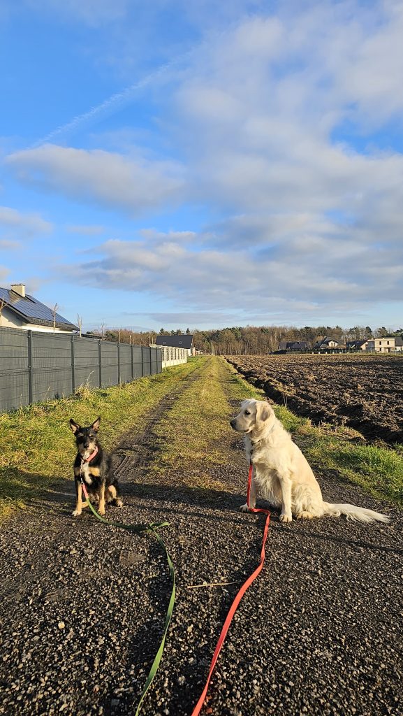 IMG 20250504 WA0022 577x1024