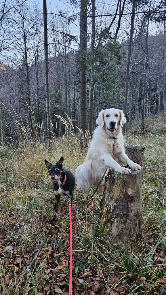 Offerings IMG 20250504 WA0049 577x1024