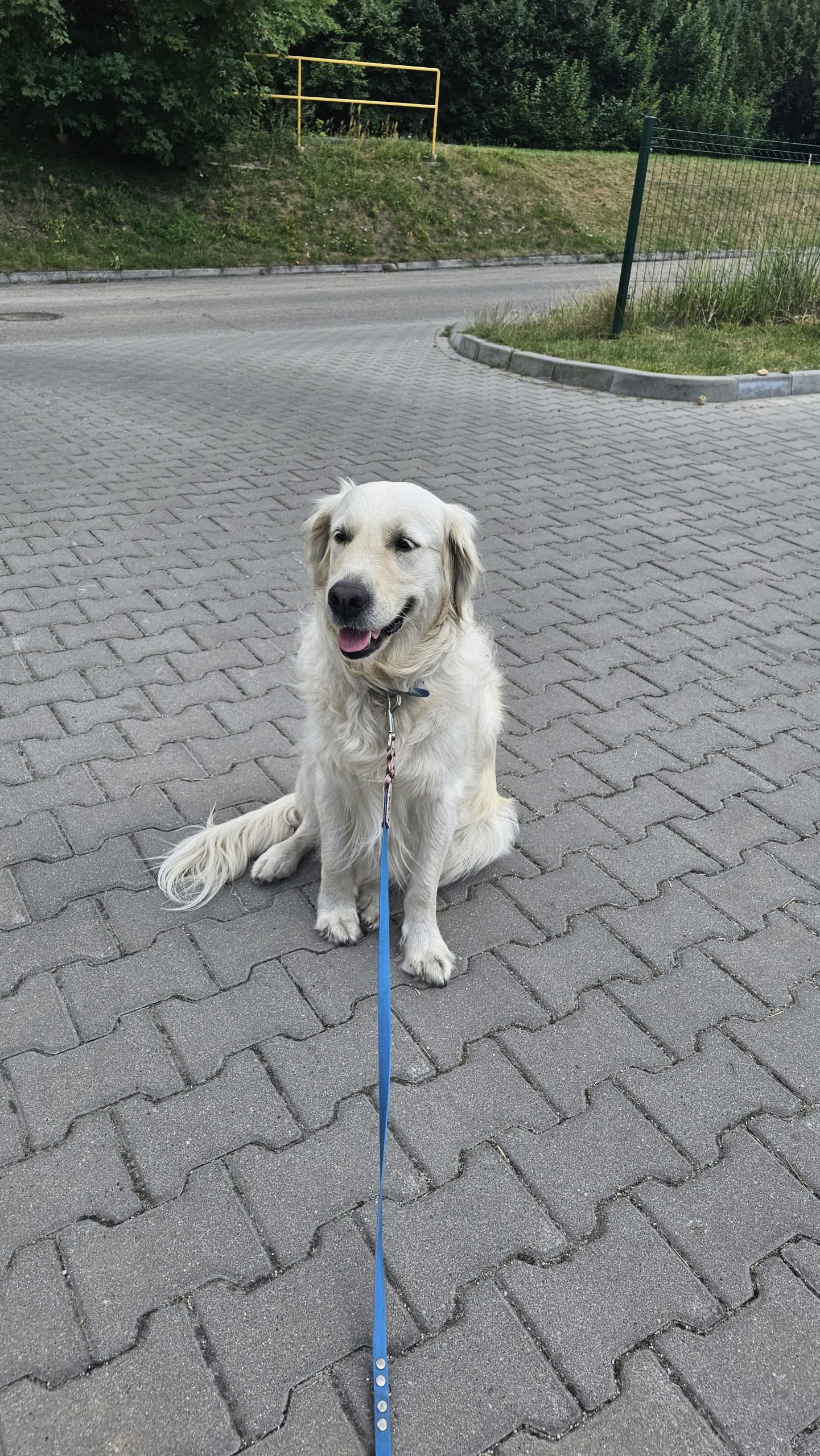 About IMG 20250504 WA0050 Scaled