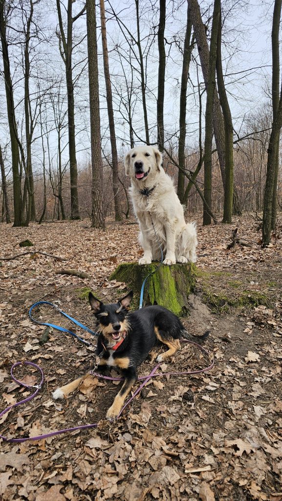 IMG 20250504 WA0054 1 577x1024