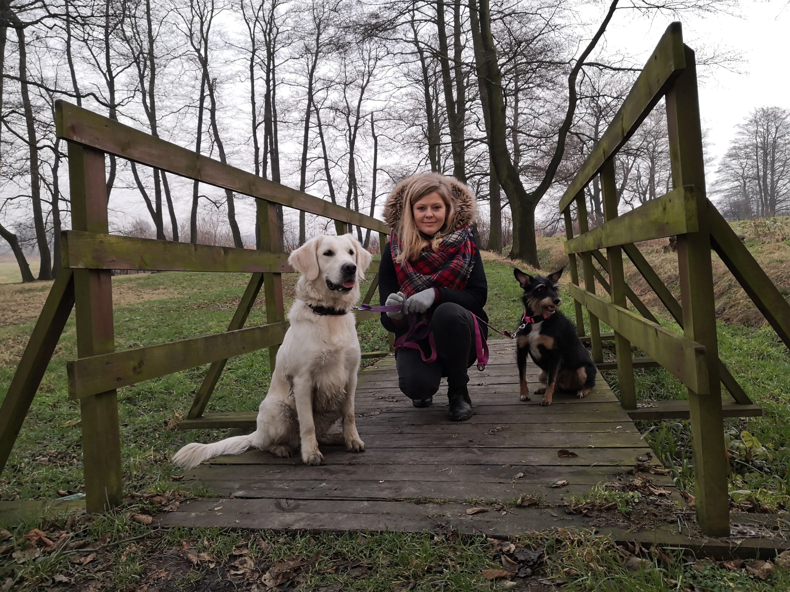Offerings IMG 20250504 WA0081 Scaled
