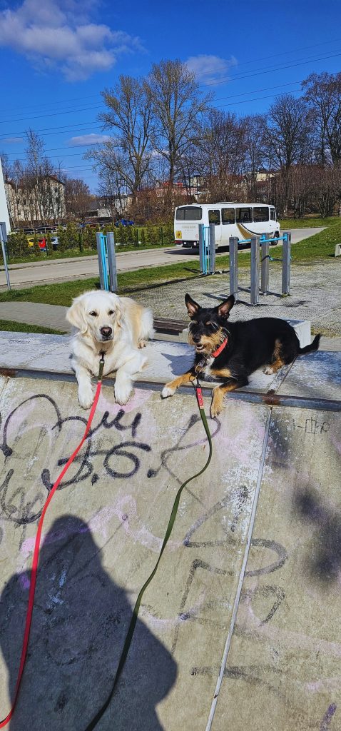 A8e152e3 48ab 4898 Bbc6 D971122feedb 478x1024